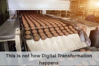 Cookies being manufactured on a production line.